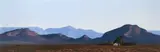 Peter Bonney, Karoo Landscape, oil on board