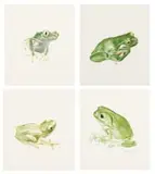 Leigh Voigt, Frogs, four