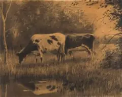 Tinus de Jongh, Two Cows in a Field, charcoal on paper