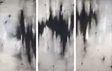 Alexandra Karakashian, Triptych, used engine oil, black pigment and oil on canvas