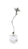 Nic Bladen, Gladiolus Carneus, 2011, bronze, on a perspex base