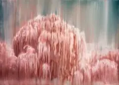 Ronél de Jager, Hide, oil on canvas