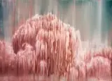 Ronél de Jager, Hide, oil on canvas