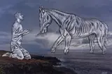 Conrad Botes, Equus