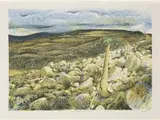 Gerhard Marx, 'Halfmens', Richtersveld. After the Rain