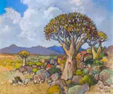 Conrad Theys, Giant Quiver Tree, Kokerboomreus