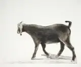 Sam Nhlengethwa, Loneliness II, etching on paper