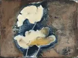 Michael Heyns, White Poppies