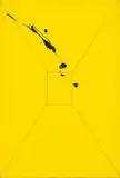 Zander Blom, Untitled (Yellow), oil on canvas