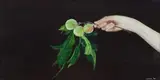 Arabella Caccia, A Gift from a Garden: Immortality, oil on board