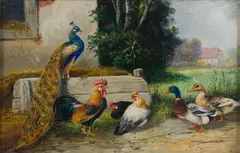 Alfred Schönian, Farmyard with Peacock, oil on wood panel