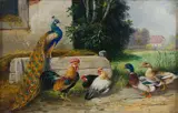 Alfred Schönian, Farmyard with Peacock, oil on wood panel