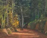 Piet van Heerden, Die Grondpad, oil on canvas laid down on board