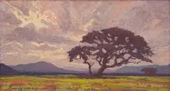 Jacobus Hendrik Pierneef, Acacia, oil on board
