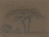 Jacobus Hendrik Pierneef, Rustenburg, conté on paper laid down on card