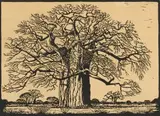 Kremetartboom (Nilant 73) by Jacobus Hendrik Pierneef, linocut on paper, sold Jul 2023