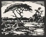 Doringboom, Warmbad (Nilant 61) by Jacobus Hendrik Pierneef, linocut on paper, sold Jul 2023