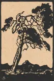 Rooibosboom (Nilant 102) by Jacobus Hendrik Pierneef, linocut on paper, sold Jul 2023