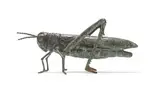 Robert (Bobby) Lawrence, Locust, bronze with a verdigris patina