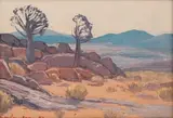 Piet van Heerden, Kokerbome with Mountains, oil on canvas laid down on board
