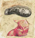 Philippa Hobbs, Kaolin Clavicle and Pulp, screenprint and embossing on paper