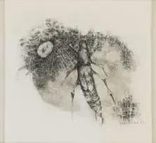 Bug by Ezrom Legae, charcoal on paper, sold May 2023