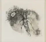 Ezrom Legae, Bug, charcoal on paper
