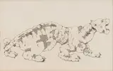 Leonard Matsoso, Leopard, pen and pencil on paper