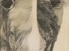 Rhino by Nils Burwitz, pencil on paper, sold May 2023