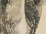 Nils Burwitz, Rhino, pencil on paper