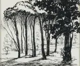 Cecil Higgs, Forest