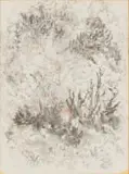 Cecil Higgs, Bushes
