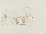 Two Hyenas by Zakkie Eloff, ink on paper, sold May 2023