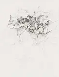 Andrew Verster, A Cup of Gold II