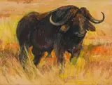 Buffalo by Zakkie Eloff, mixed media on paper, sold May 2023