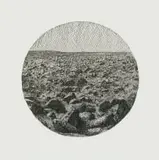 Walter Oltmann, Cradle 2, single colour chine collé and lithograph