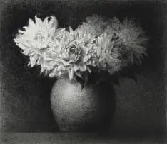 Paul Emsley, Chrysanthemums in a Vase, charcoal on paper