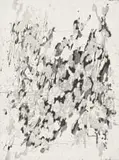 Stephen Hobbs, Dappled Bunker, sugarlift aquatint and hardground etching