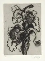 William Kentridge, Iris, etching on paper