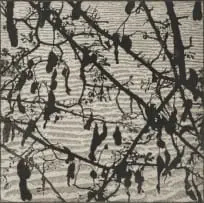 Wendy Vincent, Pods and Leaves, etching and aquatint