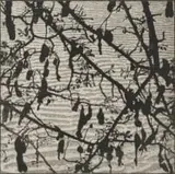 Wendy Vincent, Pods and Leaves