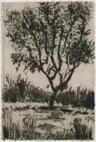 Tree by William Kentridge, sugarlift etching on Pumani paper, sold Jun 2023