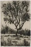 William Kentridge, Tree, sugarlift etching on Pumani paper