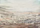 Gordon Vorster, Zebra on Brown Sand, watercolour on paper