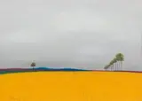 Wheatfields by Pieter van der Westhuizen, pastel on paper, sold Jun 2023