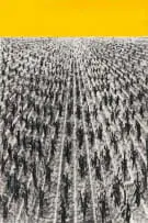 Setlamorago Mashilo, Land Grabs on the Rise, charcoal and acrylic on paper