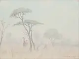 Willem Hermanus Coetzer, Bosveld/Bushveld Transvaal