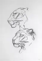 Dylan Lewis, Leopard Heads I (P008), photographic print on german Hahnemühle paper