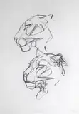 Dylan Lewis, Leopard Heads I (P008), photographic print on german Hahnemühle paper
