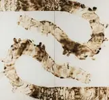 Sandile Zulu, Archetype Forms Case 12, fire, water, air and earth on canvas